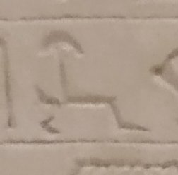 A50 on an Egyptian monument