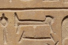 A55 on an Egyptian monument