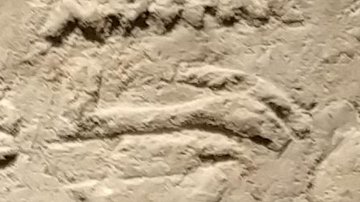 D212a on an Egyptian monument