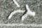 D26 on an Egyptian monument
