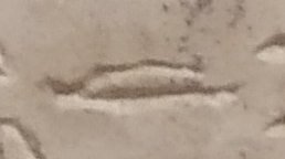 D46 on an Egyptian monument