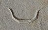 F13 on an Egyptian monument