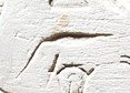 F20 on an Egyptian monument