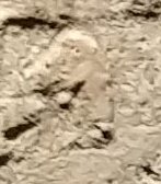 H1 on an Egyptian monument