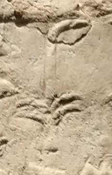 M23 on an Egyptian monument