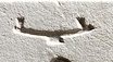 N31 on an Egyptian monument