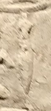 O29a on an Egyptian monument