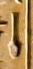 S43 on an Egyptian monument