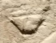 W10 on an Egyptian monument
